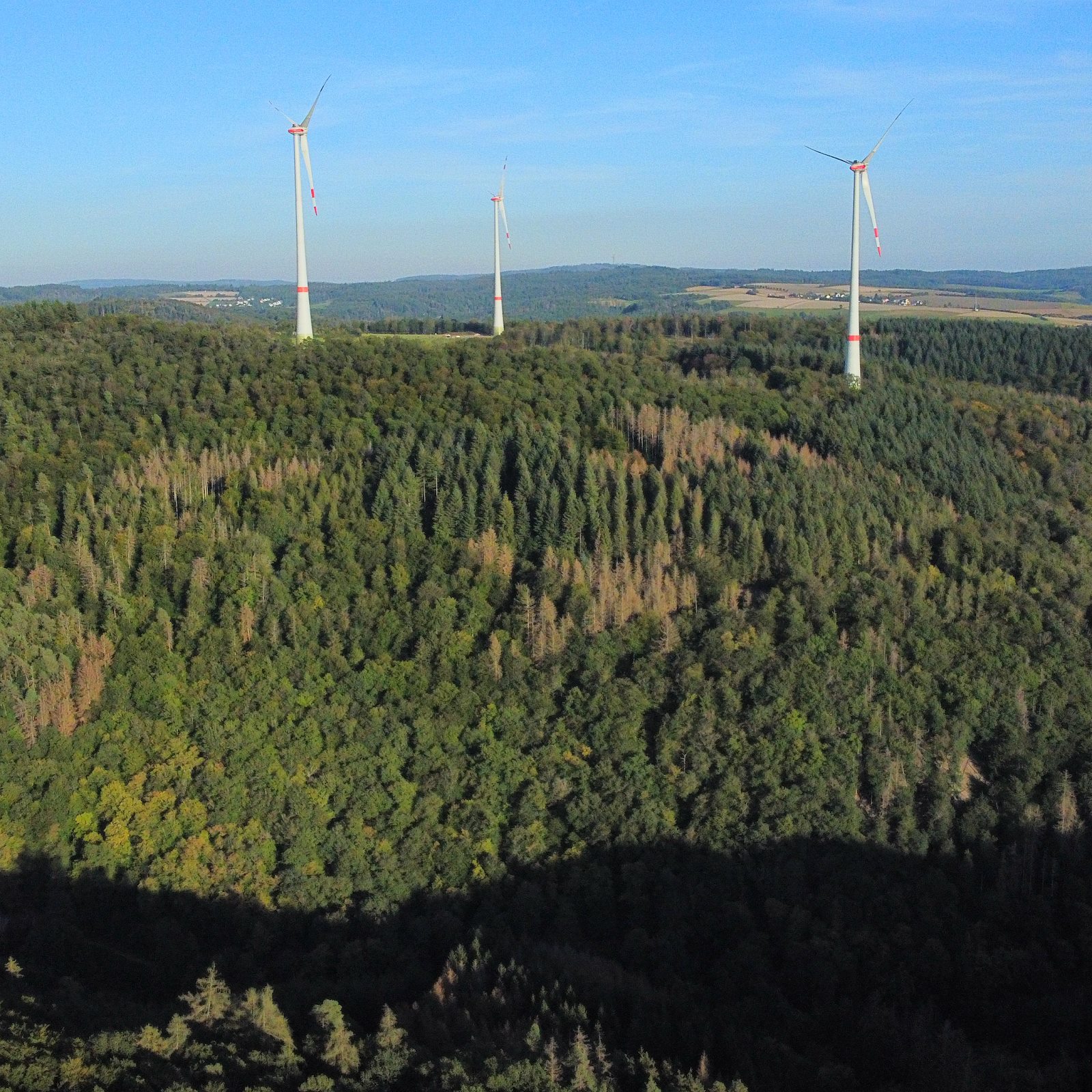 Drohnen-Luftaufnahme über Wald & Windrädern